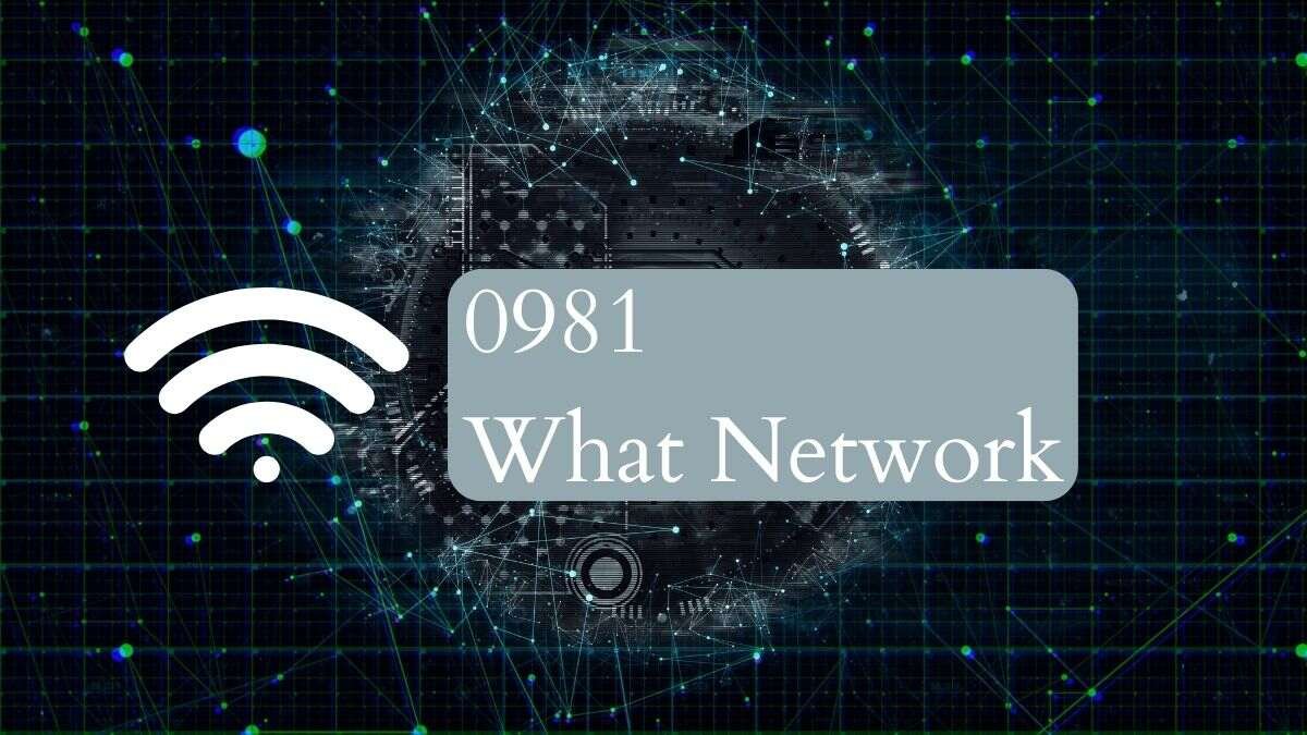 0981 Network